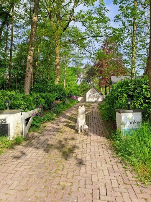 Rijsbergen Lanke Garden Studio מראה חיצוני תמונה
